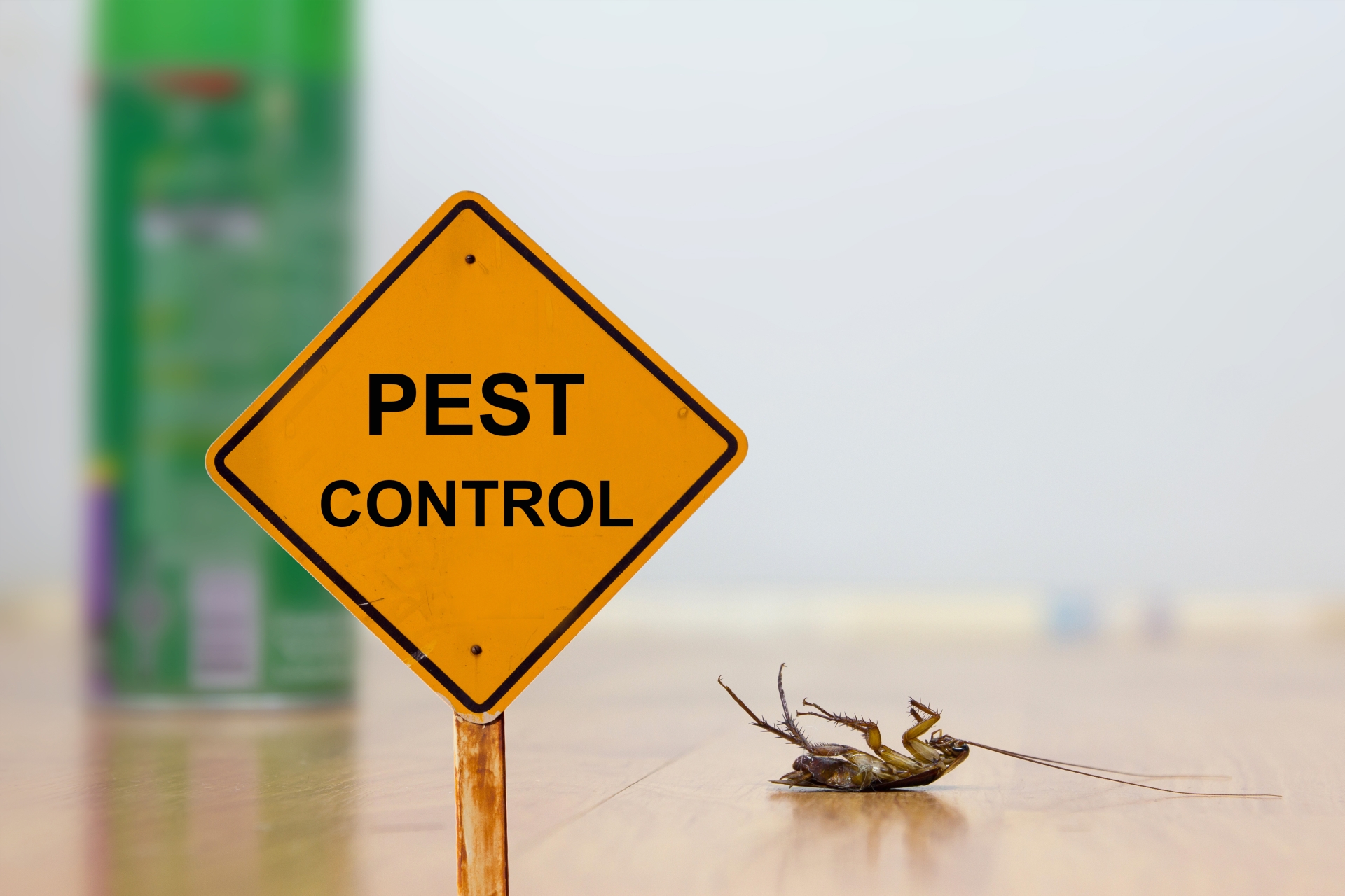 24 Hour Pest Control, Pest Control in Pinner, Eastcote, Hatch End, HA5. Call Now 020 8166 9746